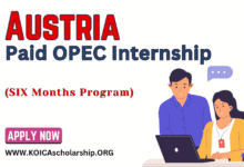 Austria Paid OPEC Internship