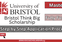 Bristol Think Big Scholarship