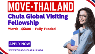 Chula Global Visiting Fellowship