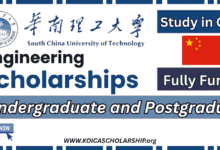 Engineering Scholarship at South China University Technology
