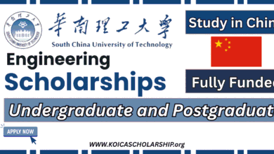 Engineering Scholarship at South China University Technology