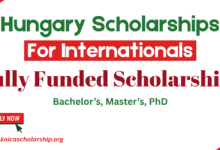 International Hungary Scholarships for Undergraduate, Masters & PhD