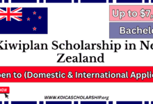 Kiwiplan Scholarship in New Zealand
