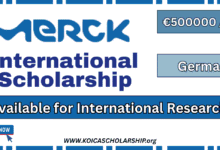Merck International Scholarship For Research in Germany