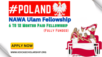 NAWA Ulam Fellowship