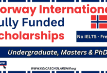 Norway International Scholarships for Undergraduate, Masters & PhD