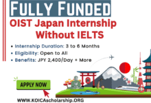 OIST Japan Internship
