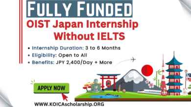 OIST Japan Internship