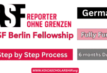 RSF Berlin Fellowship
