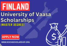 University of Vaasa Scholarships