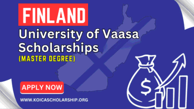 University of Vaasa Scholarships
