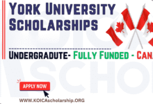 York University Scholarships