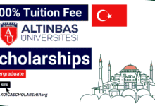 Altinbas University Scholarships