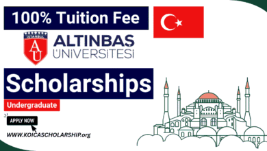 Altinbas University Scholarships