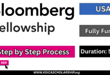 Bloomberg Fellowship