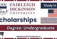 Fairleigh Dickinson University Scholarships