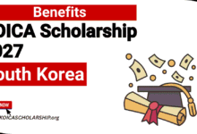 KOICA Scholarship Benefits (Fully Guide)