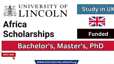 University of Lincoln Africa Scholarships