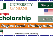 University of Miami Stamps Scholarship