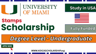 University of Miami Stamps Scholarship