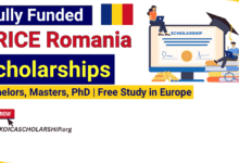ARICE Romania Scholarships