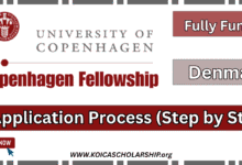 Copenhagen Fellowship