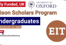 Ellison Scholars Program in UK