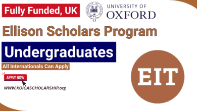 Ellison Scholars Program in UK