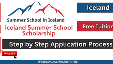 Iceland Summer School Scholarship