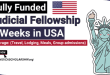 Judicial Fellowship Program in USA