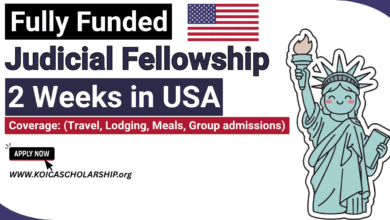 Judicial Fellowship Program in USA