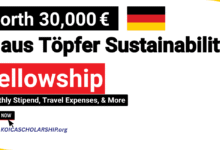 Klaus Töpfer Sustainability Fellowship