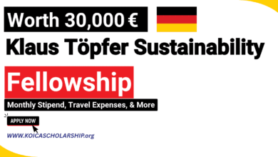 Klaus Töpfer Sustainability Fellowship