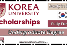 Korea University Undergraduate Scholarship