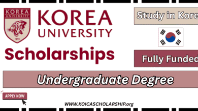 Korea University Undergraduate Scholarship