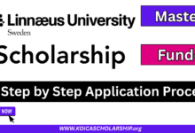 Linnaeus University Scholarship