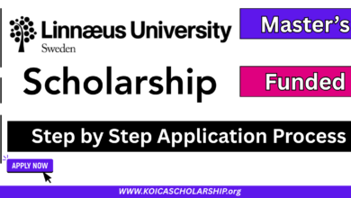 Linnaeus University Scholarship