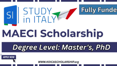 MAECI Scholarship