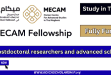 MECAM Fellowship