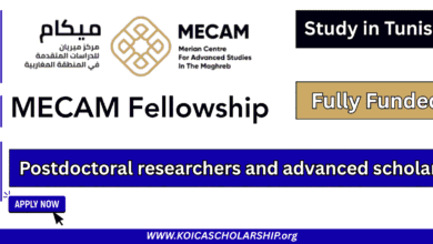 MECAM Fellowship