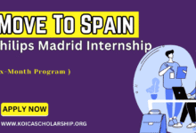 Philips Madrid Internship