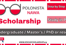 Polonista NAWA Scholarship