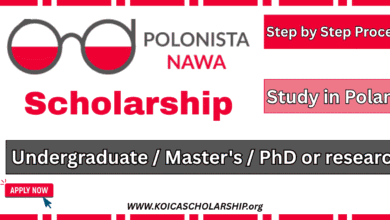 Polonista NAWA Scholarship