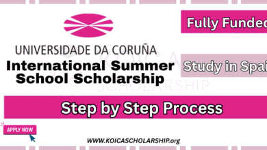 Spain International Summer School Scholarship