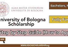 University of Bologna Scholarship