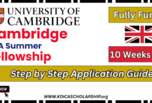 Cambridge ERA Summer Fellowship in AI