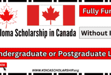 Diploma Scholarship in Canada Without IELTS