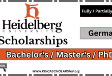 Heidelberg University Scholarships