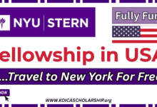 NYU Stern Fellowship in USA