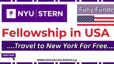 NYU Stern Fellowship in USA